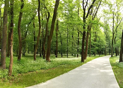 Park Zielona