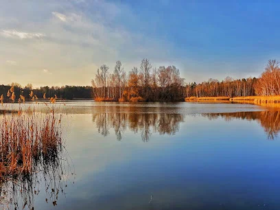 Sosnowiecki Balaton (Balaton)