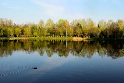 Staw Okrągły